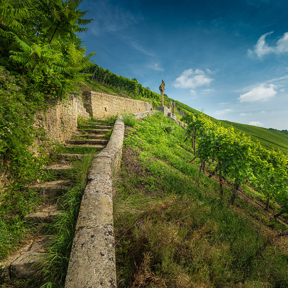 colline del prosecco